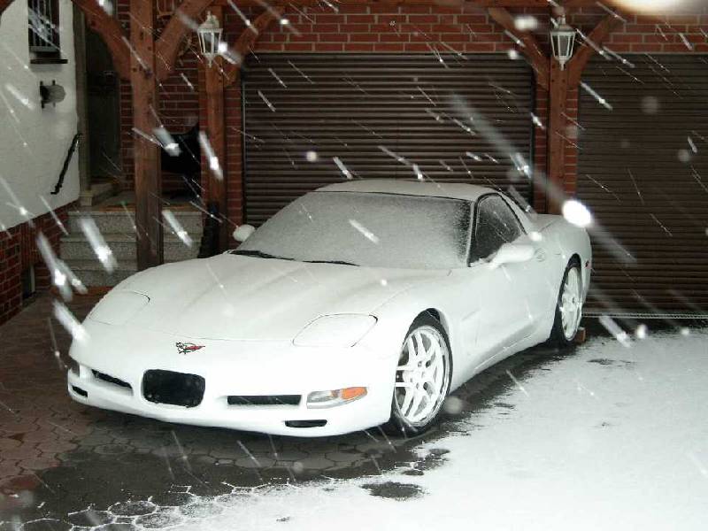 MARTINS RANCH Corvette C5 FRC snow 